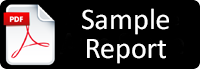 Sample report button